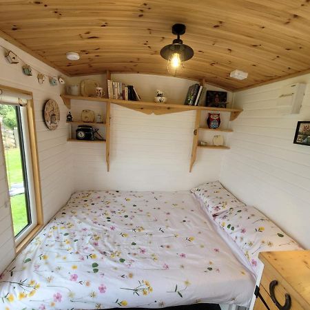 The Shepherds Hut At Forestview Farm Greenisland Exteriör bild