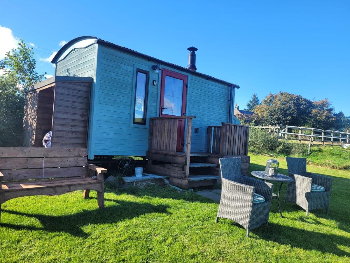 The Shepherds Hut At Forestview Farm Greenisland Exteriör bild