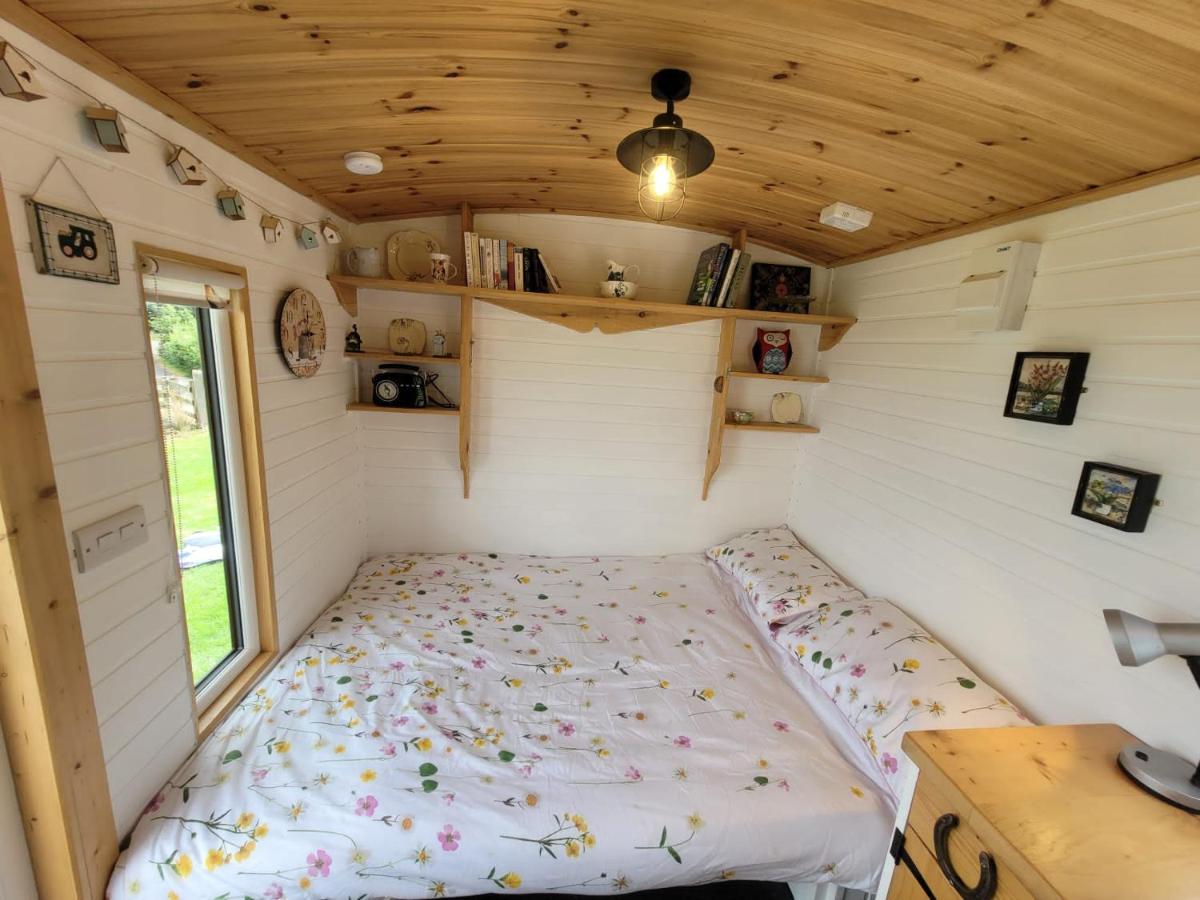 The Shepherds Hut At Forestview Farm Greenisland Exteriör bild