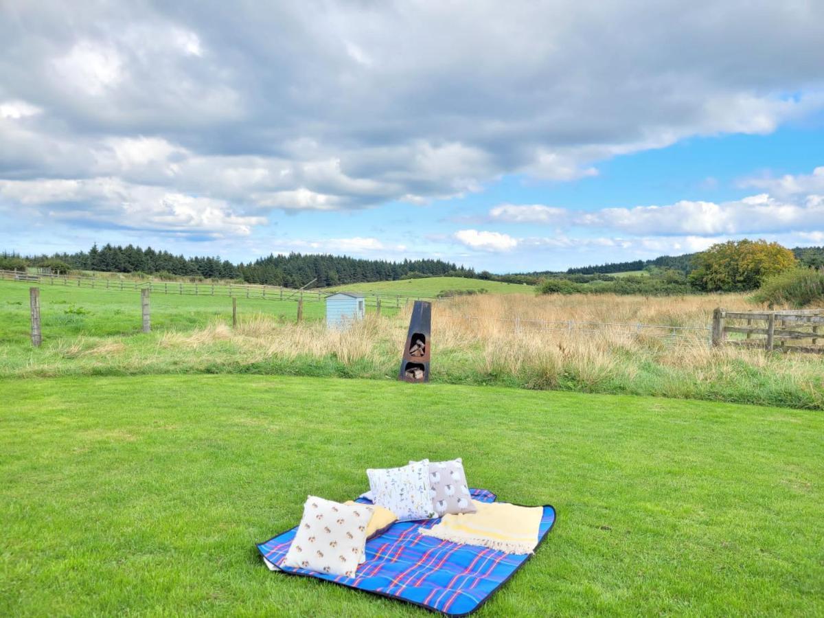 The Shepherds Hut At Forestview Farm Greenisland Exteriör bild
